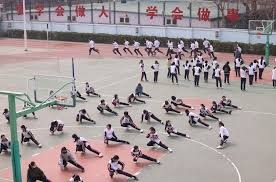 德甲生死局：沃尔夫斯堡VS海登海姆——保级与反弹的终极对决